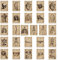 Anatomie- Und Physiologie -Poster -Set 56pcs Die Körperstruktur Aufkleber Vintage Muskular- Und Skelettsystem Anatomische Diagramme Aufkleber