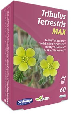 Orthonat - Tribulus Terrestris Max - Complément Alimentaire Fertilité*, Testostérone** - 450 mg d’Extrait Sec de Tribulus Terrestris (dont 260 mg de Saponines) par Gélule - Formule Vegan - 60 Gélules