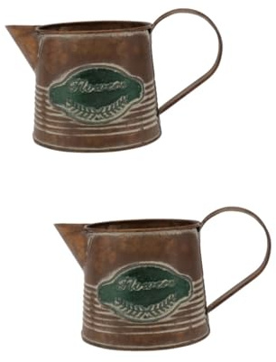 BESPORTBLE 2 STK Vintage Blumentopf Ländlicher Blumentopf Blumenkübel Aus Zinn Topf Für Sukkulenten Antikes Garten Rustikale Wohnkultur Pflanzen Brown Eisen
