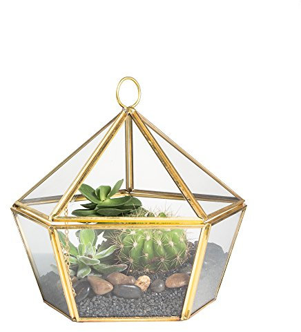 Modernes kunstvolles, geometrisches Terrarium, fünfeckig, Schmuckkästchen-Optik, Messing, Kupfer, Klarglas, Pflanzgefäß für Moos, Farn, Luftpflanze, Sukkulente, Dekorbehälter mit Klappdeckel, Gold