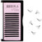 Oreola 0.07C 8mm Easy Fan Volume Lashes Noir mat Cils auto-ventilés rapides automatiques 1 seconde Volume de ventilateur rapide Extensions de cils Faux cils naturels de longue durée