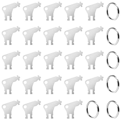 24 Stück Papierhandtuchspender Schlüssel Universal Papierhandtuchspender Ersatzschlüssel kompatibel mit Georgia Pacific Toilettenpapier und Toilettenpapierspender