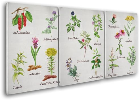 Giallobus - Quadri Grande Formato XXL - Piante - Piante officinali - Tela Canvas - 308x140cm | 3pcs. x 100x140cm - Pronto da Appendere - Quadri Moderni per la casa