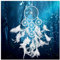 ALINUOYQ 5D DIY Full Drill Cross Stitch Dreamcatcher Net Needlework Set