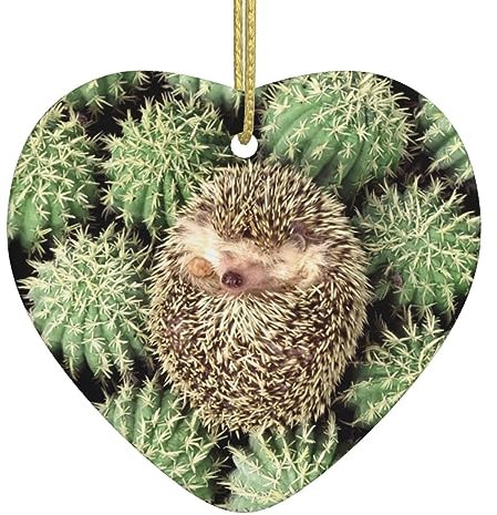 Igel Kaktus Weihnachten Herz Anhänger - Christbaumschmuck Kugeln Schöne Keramik Anhänger Festliche Dekorationen