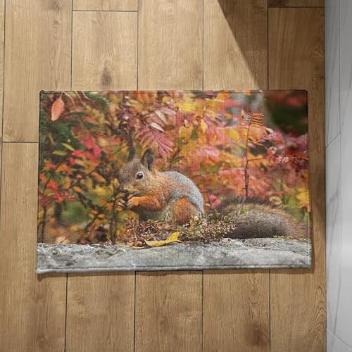 CEVAN Abstreicher Fußmatte Innen Lustig Sauberlaufmatte Nach Maß Eichhörnchen Fußmatten Für Den Außenbereich Türmatte One Piece 45x75cm