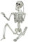 XONOR 91 cm Halloween-Skelett, realistisches menschliches Kunststoff-Skelett mit beweglichen Gelenken für Spukhaus-Requisiten, Dekorationen