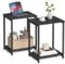 VASAGLE Set of 2 Side Tables, 2-Tier Sofa Side Tables, Bedside Tables with Steel Frames, for Living Room, Bedroom, Home Office, Industrial Style, Classic Black LET272B16