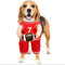 Hunde Basketball Kostüm Mit Ball, Basketball-Kostüm Mit Ball Für Hunde, Hunde Basketball Kostüm, Realistisches Hundekostüm Halloween, Lustige Hundeoutfits Für Halloween Party