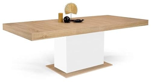 IDMarket - Table à Manger Extensible Rectangle Eden 6-10 Personnes Bois et Blanc 160-200 cm