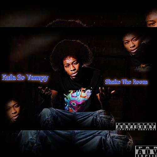 Shake The Room [Explicit]