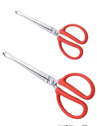 Toasis Krabbenzange aus Edelstahl für lebende Krabben Aale (gebogene Spitze, 2 Stück)