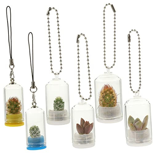 6 Pièces Porte-clés Récipients en Verre pour Terrariums Plante Aérienne Charme De Fiole Plantes Aériennes Vase à Fleurs Clair Mini Conteneurs Un Verre De Bébé Pendaison Pendentif