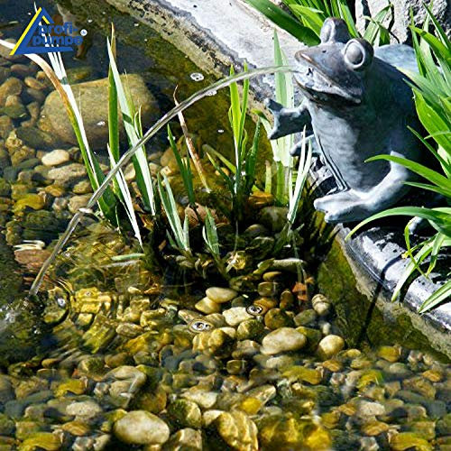 Fontaine DE Jardin Pompe D'ÉTANG Solaire Fontaine Pompe Solaire Pompe D'ÉTANG Ensemble pour TERRASSE D'ÉTANG Jardin ÉTANCH DE Jardin Décoration d'étang Solaire (Solaire sans Batterie FROSCHKÖNIG)