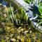 FONTANA DA GIARDINO FONTANA SOLARE DA GIARDINO DECORATIVA FONTANA A CASCATA CON GIOCO D'ACQUA RE RANA senza batteria