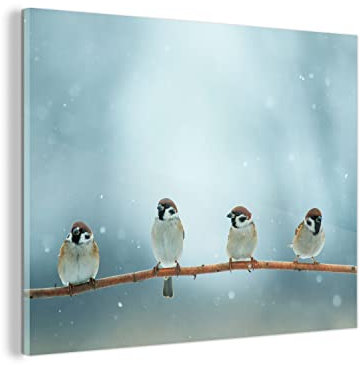 MuchoWow Glasbild Glasfoto Wandbild Bilder Deko 40x30 cm Vögel - Spatz - Schnee - Winter