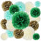 BestoFun 16 Stück Grün Seidenpapier Pompoms Beige Mintgrün Pompons Deko Gold Dekoration für Hochzeit Deko Tischdeko Geburtstagsdeko Boho Deko Gartenparty