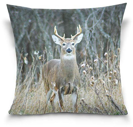 Linomo Kissenbezug 50x50 cm, Wild Tier Hirsch Dekorative Kissenbezug Kissenhülle für Couch Sofa Bett Hause