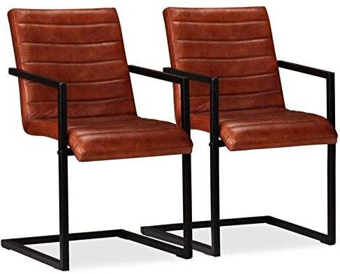 Gecheer 2er Set Echtleder Esszimmerstühle mit Stahlrahmen | Polsterstuhl Schwingstuhl Essstuhl Küchenstuhl 51 x 56 x 91 cm Braun