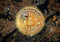 4Good Premium Poster Kryptowährung, Bitcoin Dekoration Wohnzimmer, Buero bild, Bilder Set Modern für Zimmerdeko Plakat motivation Poster Wanddeko KR2-A3