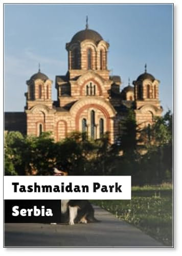 Berger australien noir tricolore assis dans le parc Tashmaidan près de l'église Saint-Marc le jour ensoleillé. Le chien voyage vers des sites touristiques populaires en Serbie, Belgrade. Église