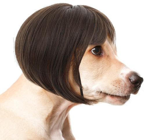 Molain 1 Stück Haustier Perücken mit verstellbaren Riemen, Lustige Hunde Katzen Cosplay Perücke Hundekostüm Weihnachten Perücken Band für Kleine Mittelgroße Hunde Perücken Weihnachten Dekorationen