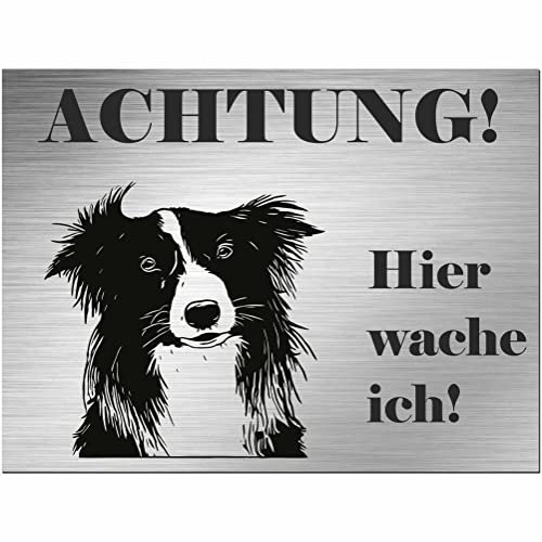 INDIGOS UG - Border Collie - Panneau imprimé - Attention Hier wache ich ! - Aspect acier inoxydable aluminium Dibond - 60 x 40 cm - Inscription - Idée cadeau décorative pour votre chien - Clôture -