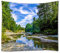 A.Monamour Wanddekor Wandbild Vorhang Wandteppiche Grünen Wald Bäume Fluss Felsen Blauen Himmel Weiße Wolken Natur Landschaft Bild Drucken Textilgewebe Wand Tapisserie Wandbehänge Wohnheim 180x230 cm