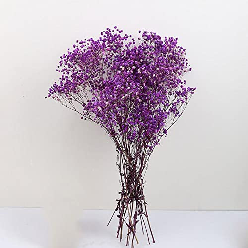 Gypsophila Fiori, 100g 40-45cm Fiori Secchi Mazzi di Gypsophila Composizioni Floreali Naturali per Artigianato Fai-da-te Decorazioni per Carte, Feste di Matrimonio (Viola)