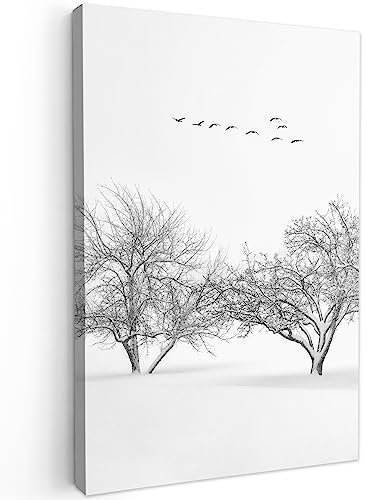 MuchoWow© Impression sur Toile Photo Peinture 40x60 cm Tableau Decoration Murale Chambre Salon Maison Deco Cuisine Arbres - Noir et blanc - Nature - Oiseaux