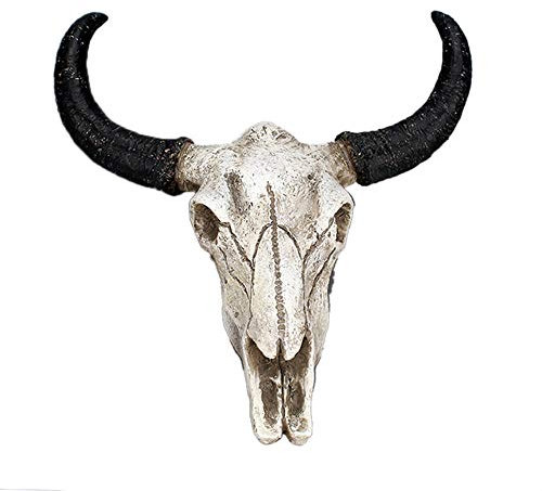 Tvoip 1 Stück Kunstharz Wandbehang Horn Schädel Lenkkopf Skulptur Langhorn Kuh Schädel montiert Longhorn Steer Harz Wanddekoration (Nr. 1)