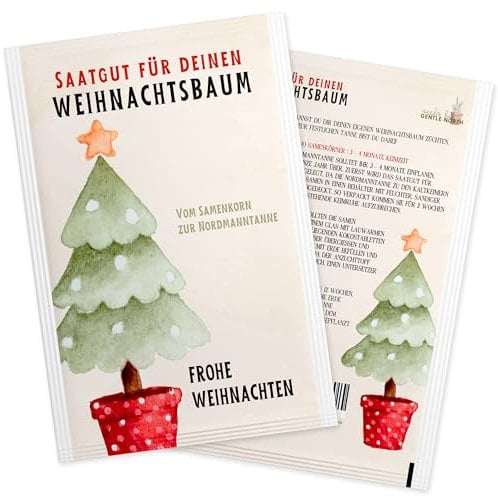 Nordmanntanne zum Pflanzen - Weihnachtsbaum Samen für dein Christbaum 2029 - Tannensamen als Adventskalender Füllung, Kleinigkeit zu Weihnachten oder Wichtelgeschenk für Frauen und Männer