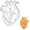 Anatomisches Herz Ausstechform, 1 Teil, Bakerlogy