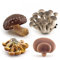 4er Set Pilze Deko Mini, Künstliche Pilzdeko Realistische Pilze PVC Pilze Statue Dekofigur Mikro Landschaft Ornament Bonsai Pupenhaus Dekoration Deko Pilze für Garten Terrasse Balkon