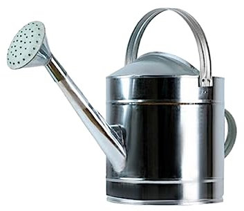 Ailan Regadera de Plantas higiénica y Segura para Plantas Felices Diseño de Boca Grande para un llenado de Agua más fácil Acero Inoxidable, Acero galvanizado, 7L