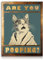 Dazzlewall Funny Cat Wall Decor Poster Cute Cat Vintage Are You Pooping Sign Canvas Wall Poster for Bathroom Toilet 12x16 in Unframed