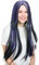 dressforfun Perücke Langhaar mit Strähnen | 65 cm | Halloween Fasching Hexe Vampir Gothic | -Diverse Farben- (Schwarz/Lila | Nr. 300731)