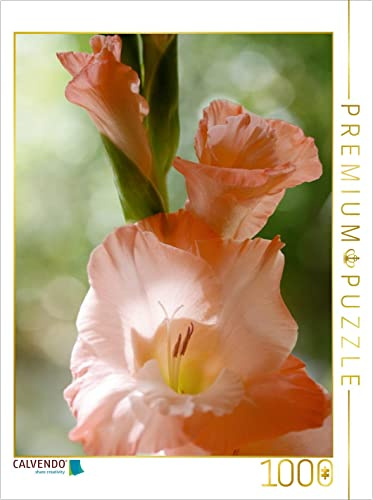 CALVENDO Puzzle Gladiolus 1000 Pieces 48 x 64 cm from Gisela Kruse