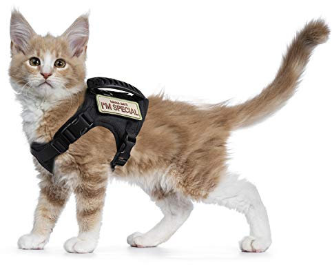 Taktisches Katzengeschirr zum Spazierengehen, ausbruchsicher, weiches Netzgewebe, verstellbare Haustierweste für große Katzen, kleine Hunde