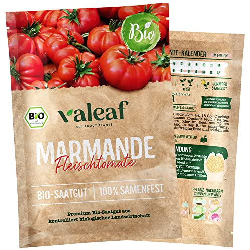 valeaf BIO Tomaten Samen I Premium Tomatensamen zur Tomaten Anzucht im Garten, Balkon und Hochbeet I samenfestes Tomaten Saatgut I Pflanzen Samen zum Tomaten Pflanzen (Marmande - Fleischtomate (BIO))