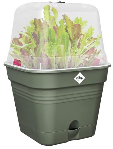 elho Green Basics Anzuchttopf Quadrat Allin1 30 - Anzuchtset - 100% recyceltem Plastik - Ø 29.6 x H 24.9 cm - Grün/Laubgrün