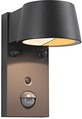 Paulmann 94714 LED Wandleuchte Capea Bewegungsmelder insektenfreundlich IP44 96x153mm Tunable Warm 6W 450lm 98° Schwarz