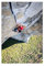 ALNILA Kletterer Alex Honnold 1 Leinwand-Poster, Wandkunst, Dekordruck, Bild, Gemälde für Wohnzimmer, Schlafzimmer, Dekoration, ungerahmt, 30 x 45 cm