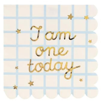 PartyDeco Servietten I am one Today 33x33cm/12St.