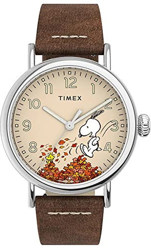 Timex Watch TW2U86200