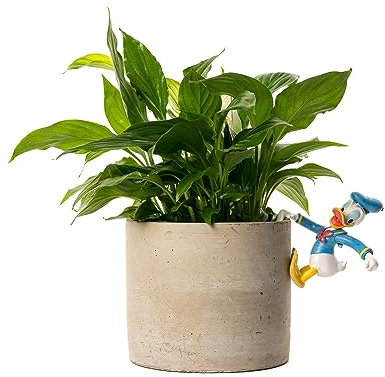 Pot Buddies Disney Set of 3 Donald Daisy Goofy Plant Pot Hanger