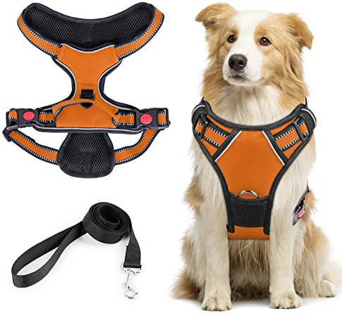 Pettorina Cane Taglia Grande, No-Pull Pettorina h Cane Regolabile, Imbracatura con Pettorina Cane Riflettente Morbida per Addestramento,Pettorina Antifuga Cane con Guinzaglio per la Corsa, Passeggiate