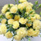 Qiebenav 2000 pezzi semi di carnazione facili da coltivare semi di fiori con fiori profumati per impollinatori taglio giardini fiori giallo