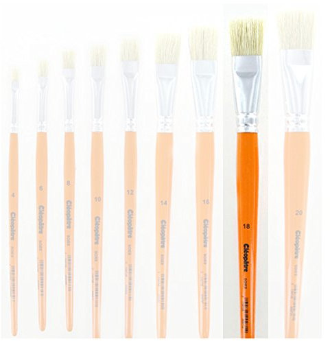 Colles 65551 Brosse Plate Cléopâtre Plastique Assorties