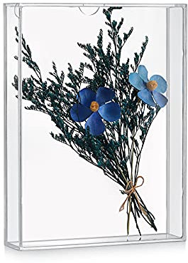 MarccTipton 15.2 x 20.3 cm große Schattenbox-Rahmen, Acryl-Fotorahmen, DIY-Tischvitrine, alle durchsichtige Erinnerungsbox für getrocknete Blumen, Party, Ladendekoration (2.8 cm Innentiefe)